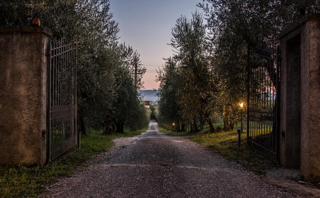 Agriturismo La Torricella Pistoia Exterior foto